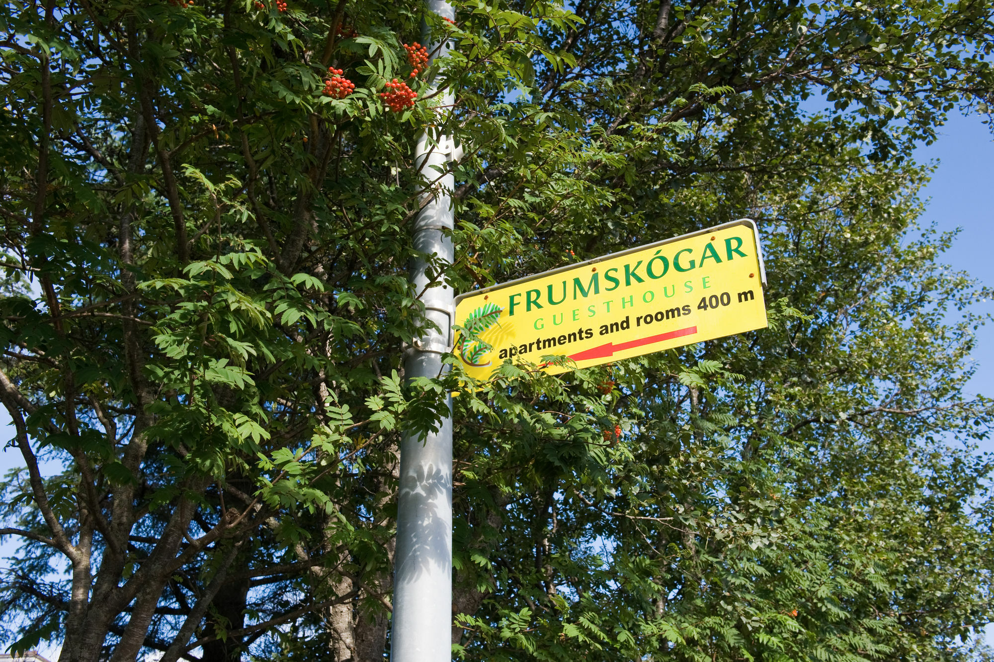 Frumskogar Guesthouse & Apartments Hveragerdi Εξωτερικό φωτογραφία